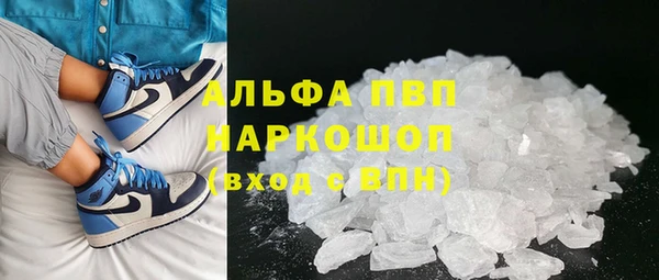 молекула духа Ахтубинск