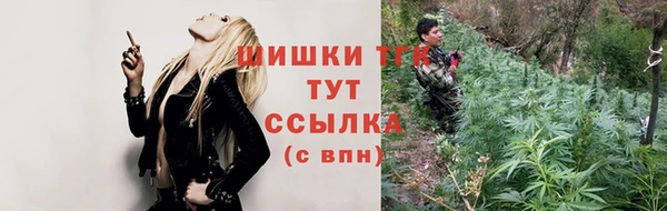 стафф Новозыбков