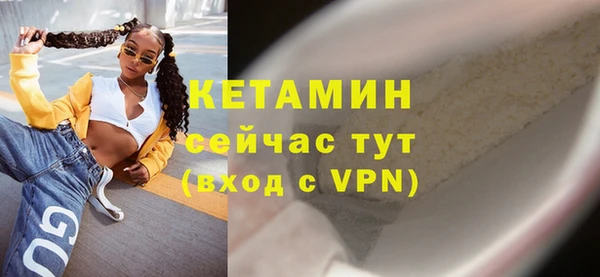 СК Новодвинск