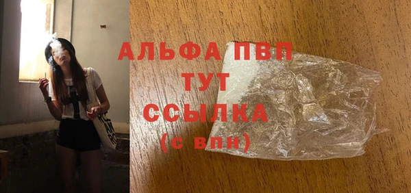 стафф Новозыбков
