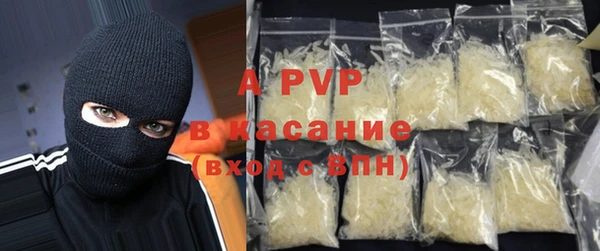 стафф Новозыбков